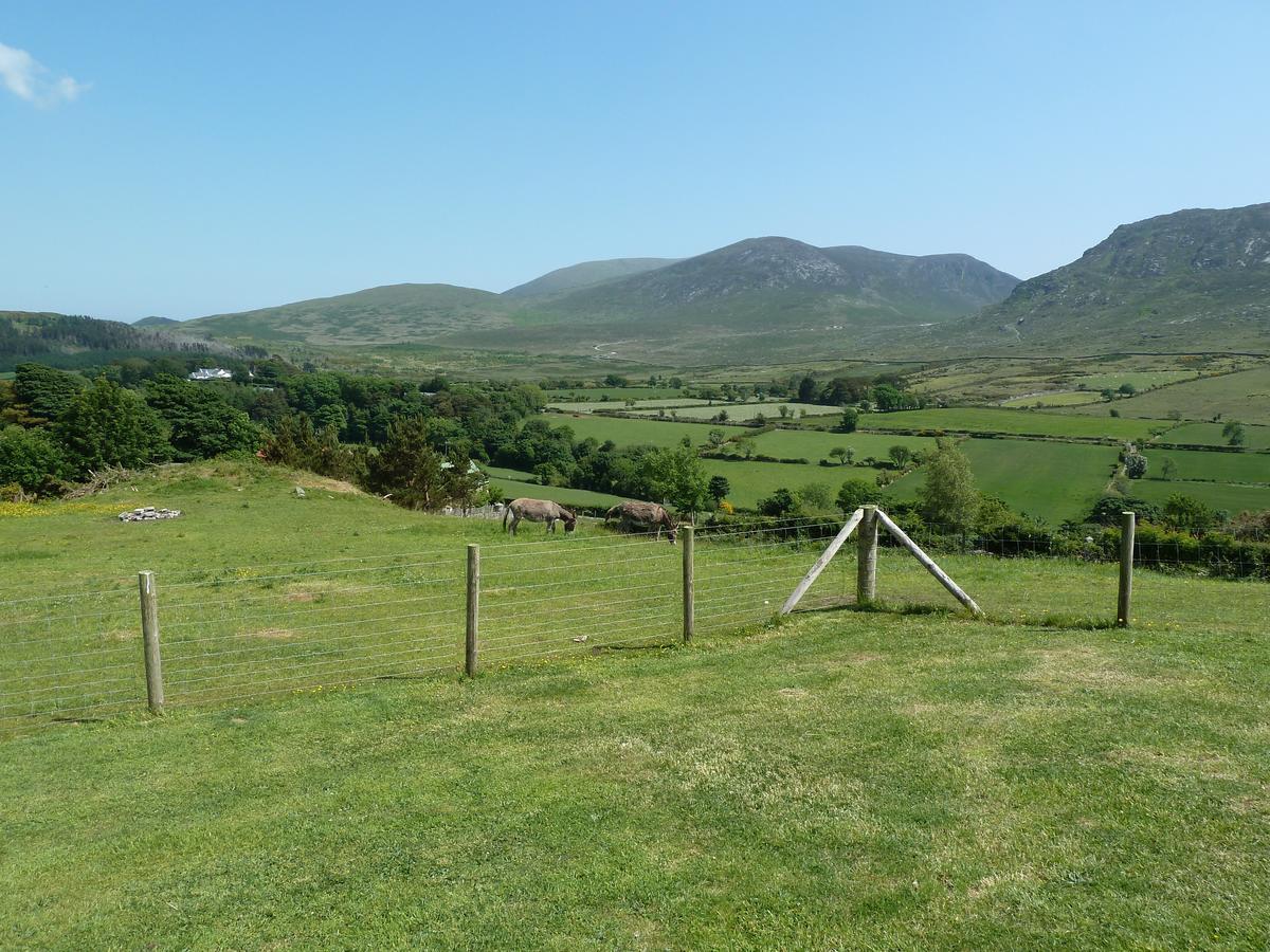 ホテル Gorse Hill Glamping ニューカッスル エクステリア 写真